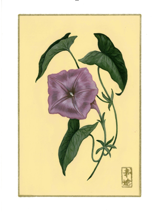 25th of June  “Morning Glory” by Cindy Cal