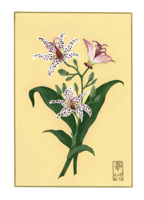 9th of October “Toad Lily” by Cindy Cal