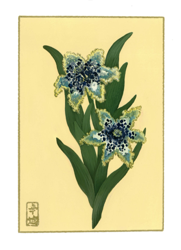 8th of January “Ferraria” by Cindy Cal