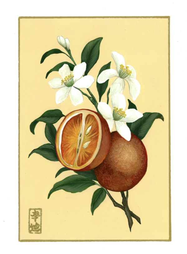 7th of September “Orange Blossom” by Cindy Cal