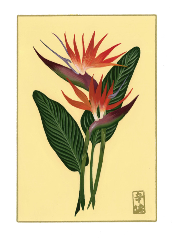 23rd of November “Birds of Paradise” by Cindy Cal