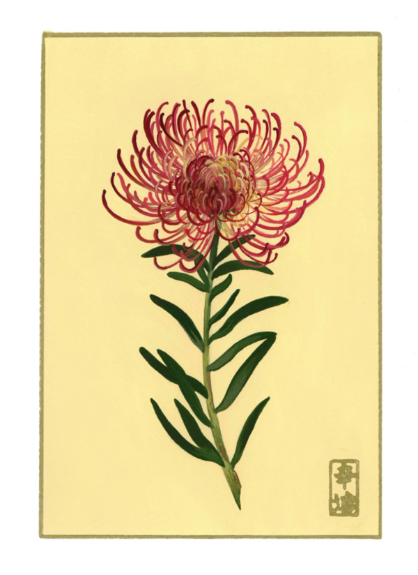 10th of October  “Spider Protea” by Cindy Cal