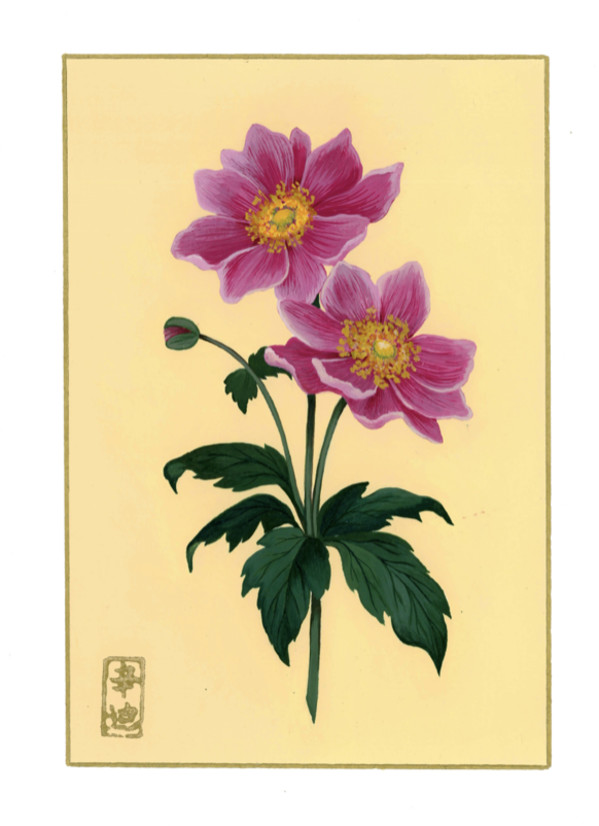 14th of September “Japanese Anemone” by Cindy Cal