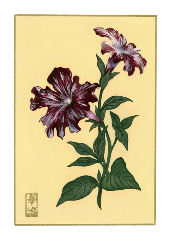 25th of September “Petunia” by Cindy Cal