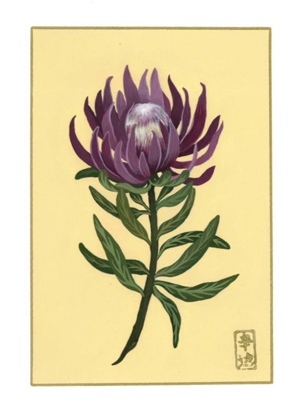 25th of October “Protea” by Cindy Cal