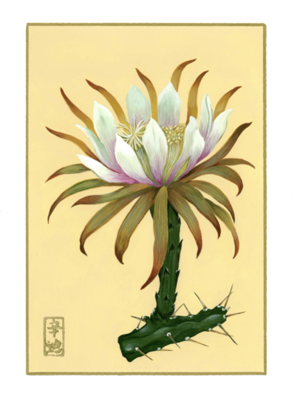 29th of July “Cactus Flower” by Cindy Cal