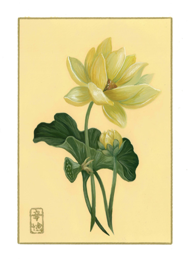 26th of September  “Lotus” by Cindy Cal