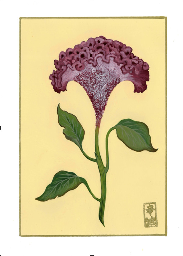 5th of September “Cockscomb” by Cindy Cal
