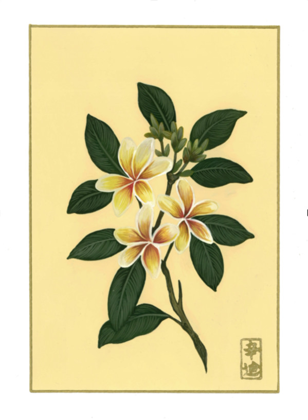 9th of November “Plumeria” by Cindy Cal