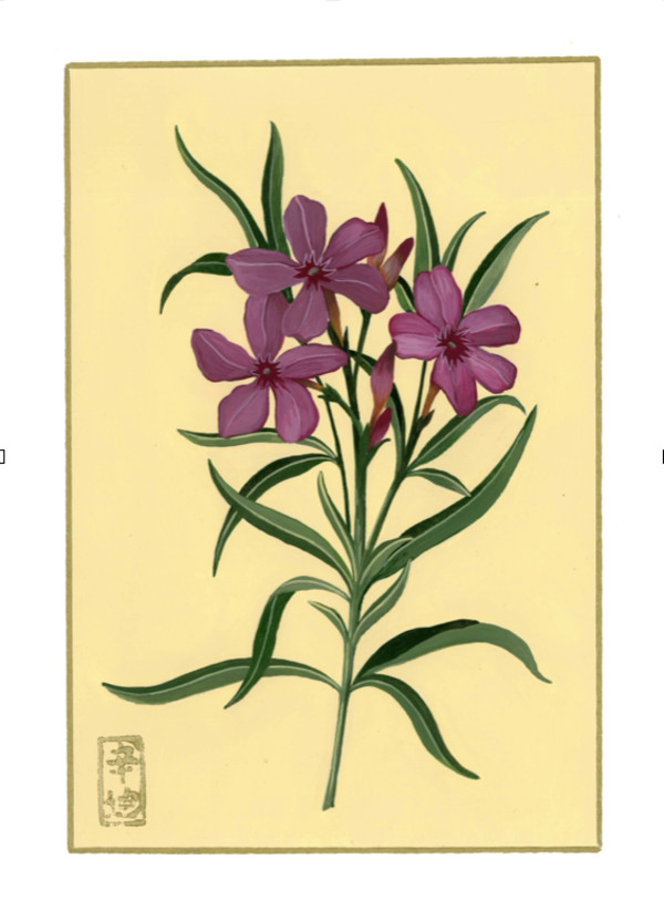 12th of August  “Oleander” by Cindy Cal