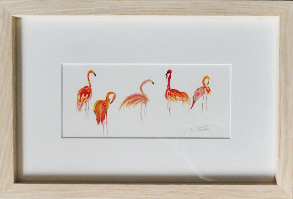 Flamingo-Dallas Zoo by Lori Morrell Whitaker, Image 1.