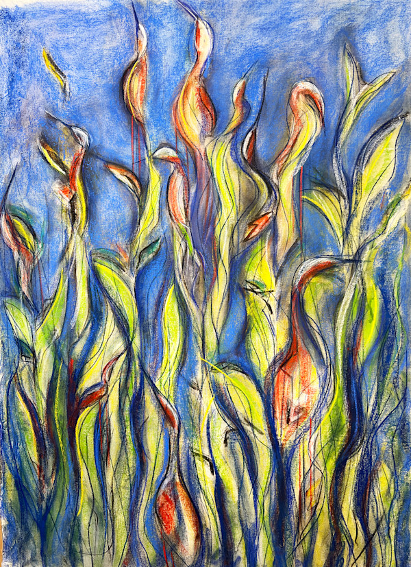 Nesting by Lori Morrell Whitaker, Image 12.