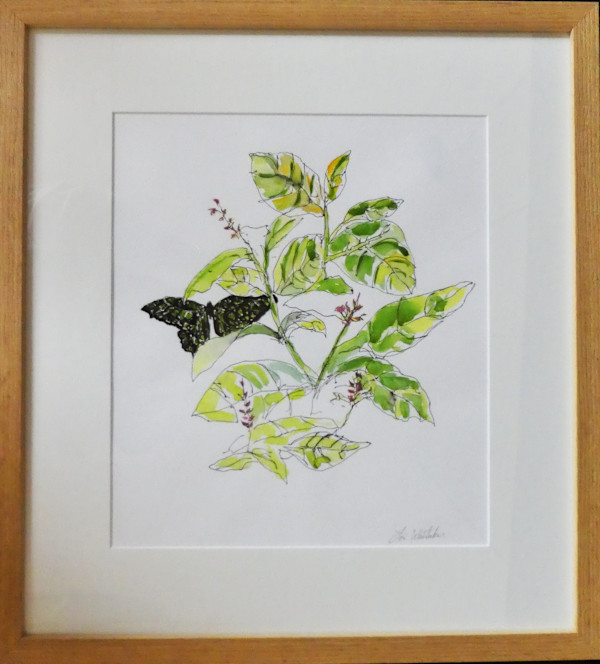 A Brief Flight by Lori Morrell Whitaker, Image 2.