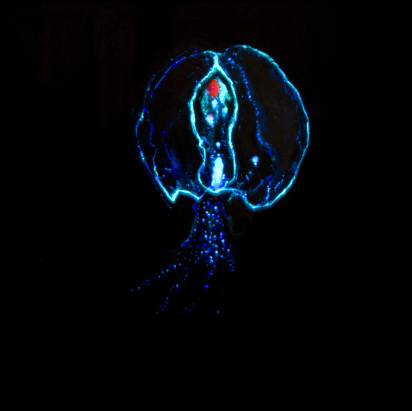 Pulpo 2 ( glow in the dark) by Nicolas Bedel