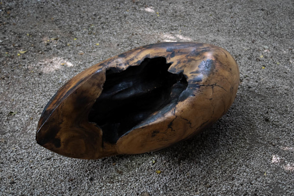 Semilla by Gerda Gruber, Image 1.