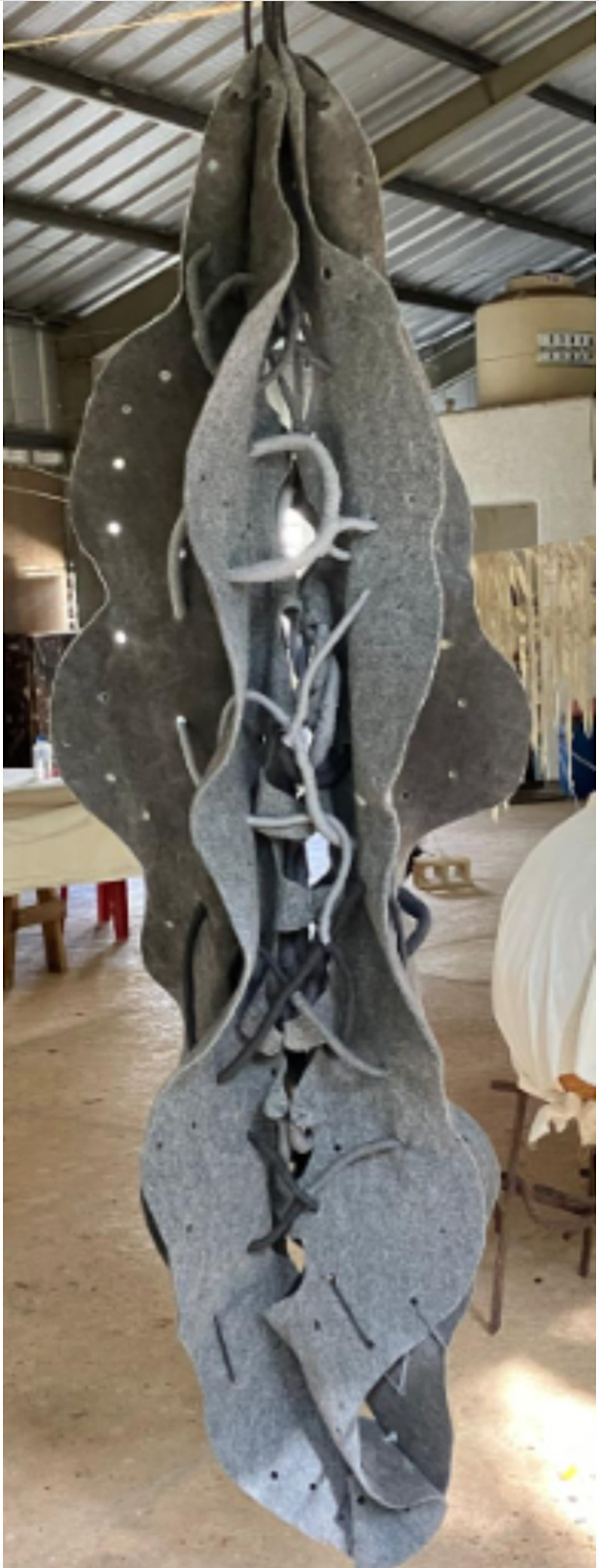 Estructura de semilla de jabim I by Gerda Gruber, Image 1.