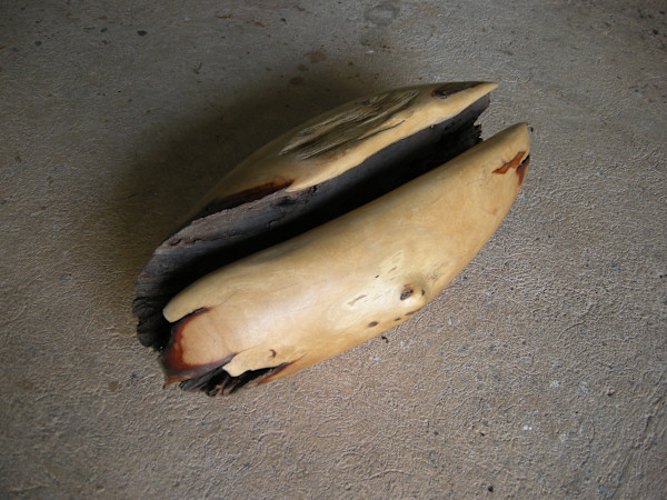 Huella del tiempo I by Gerda Gruber, Image 2.