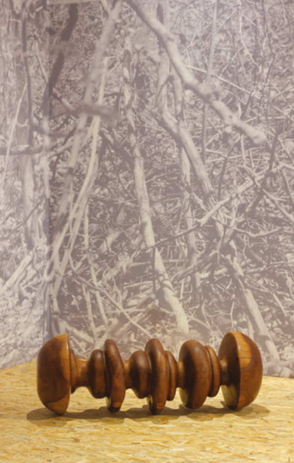 Resonancia by Gerda Gruber, Image 2.