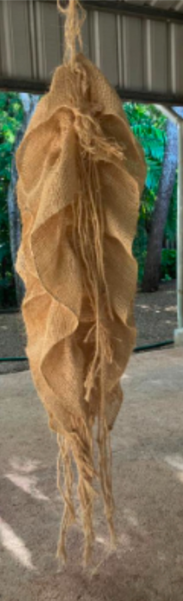 Semillas de jabim II by Gerda Gruber, Image 1.