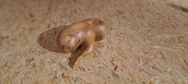 Reconstrucción by Gerda Gruber, Image 2.
