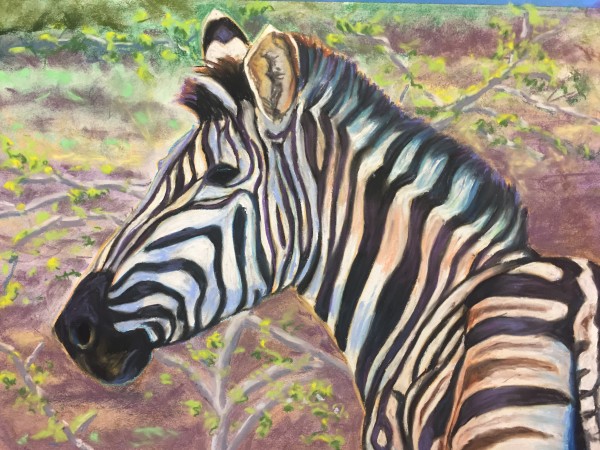 Zebra by Stuart Burton