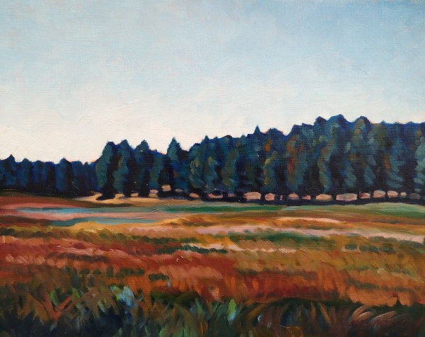Pine and Fall Grass by Stuart Burton