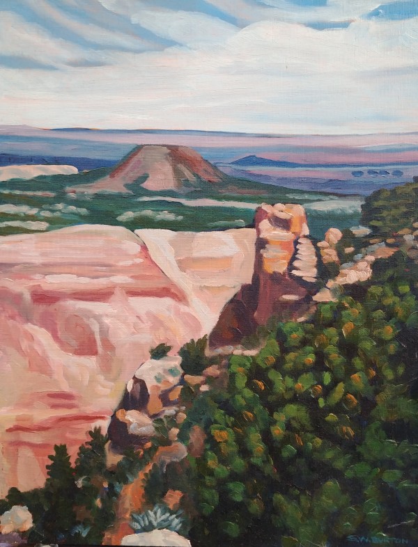 Top of Mesa by Stuart Burton