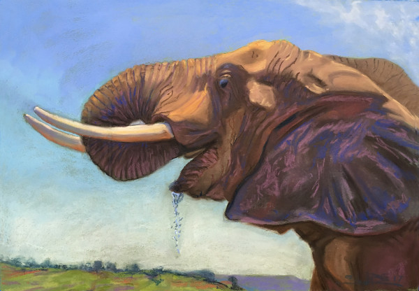Elephant Drink by Stuart Burton