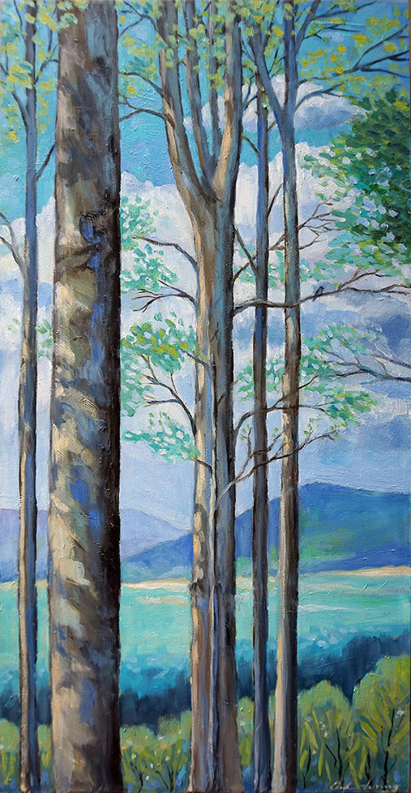 Sky Mountains by Linda Deming