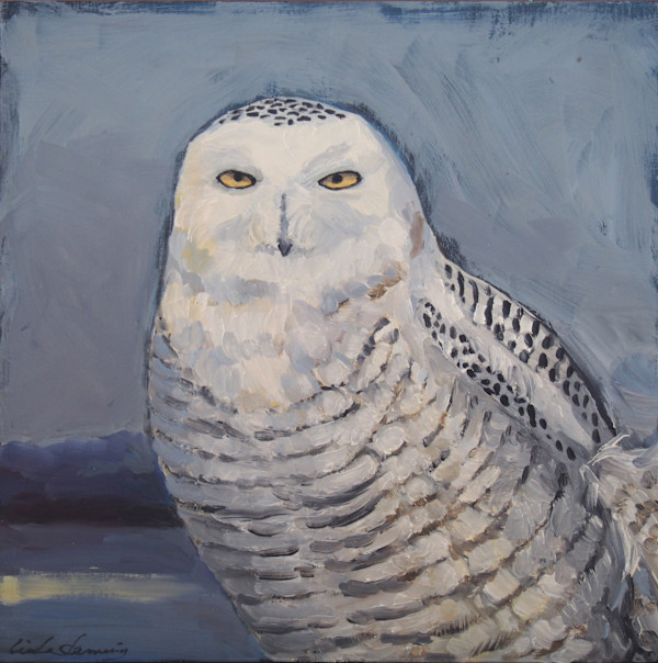 Snowy Owl by Linda Deming