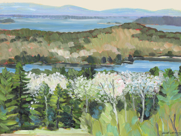 Spring Bloom Beyond Caterpillar Hill by Linda Deming
