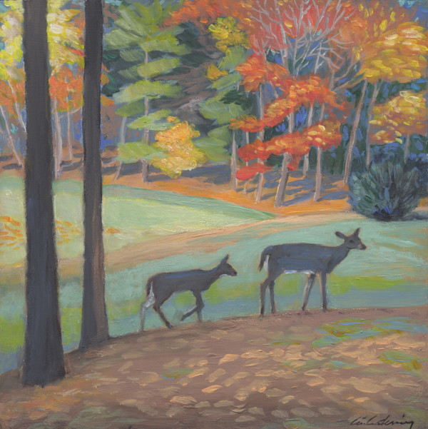 Land of Deer Magic by Linda Deming