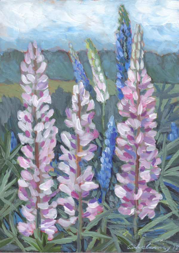 Pink Lupines by Linda Deming