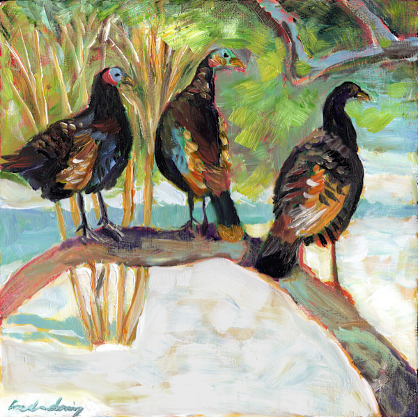 Turkey Roost by Linda Deming