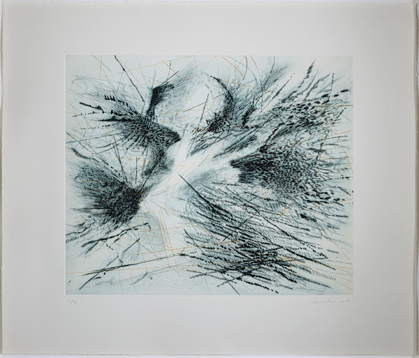 Fracture by Julie Mehretu