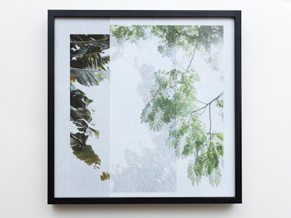 forest_2.214 - 28.518 by Sandra Köstler