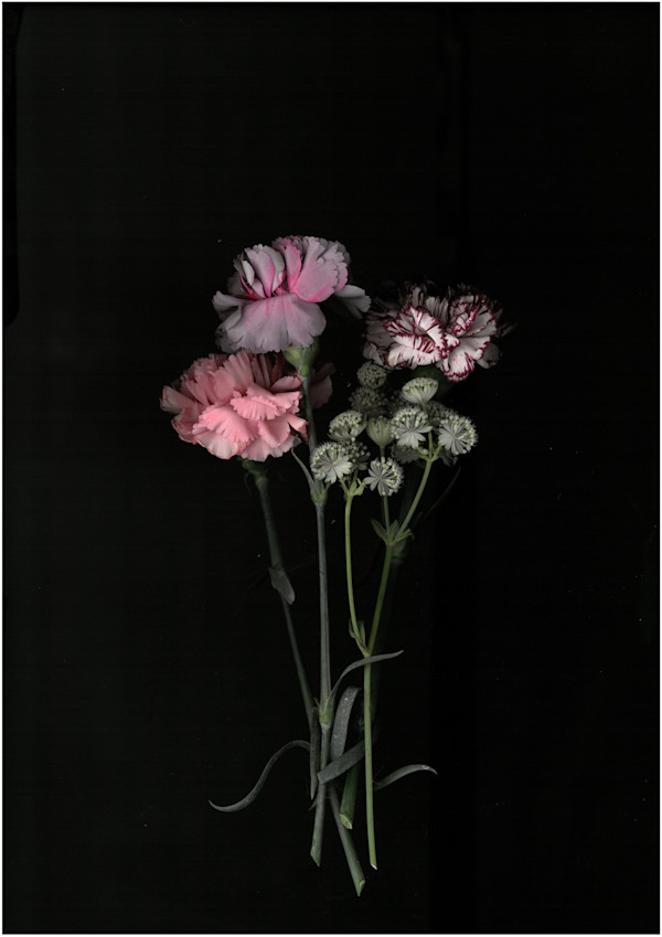 2110 by Andrea Esswein