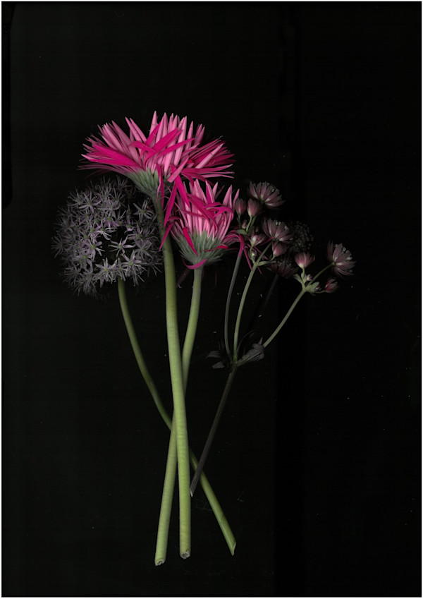 2210 by Andrea Esswein, Image 1.