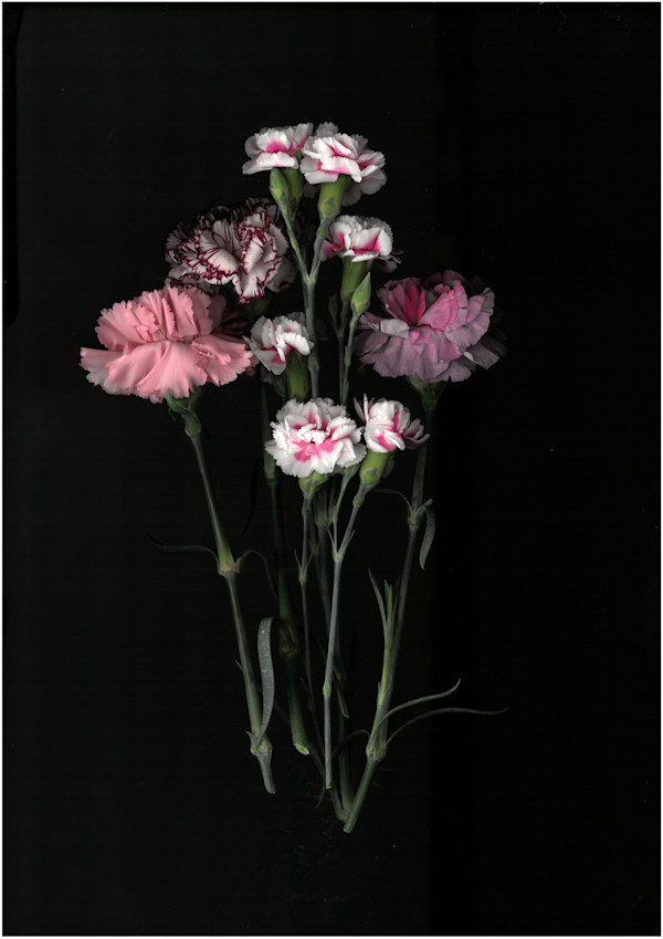 2380 by Andrea Esswein, Image 1.