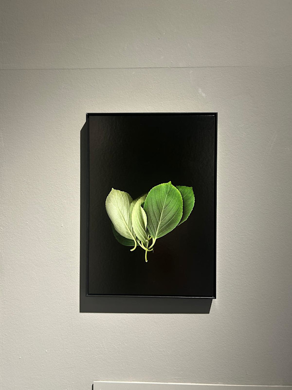 Mehr Grün by Andrea Esswein