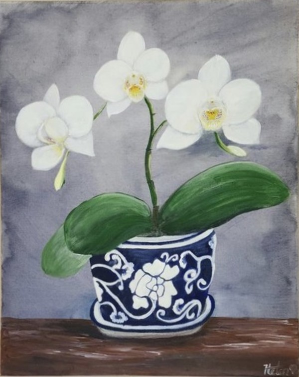 Opsis by Helen Ollerenshaw
