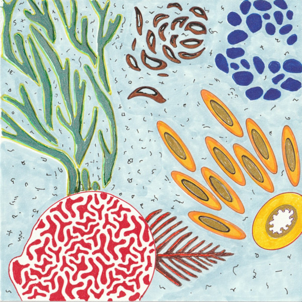 Underwater Forms by Timothy Ray Horn
