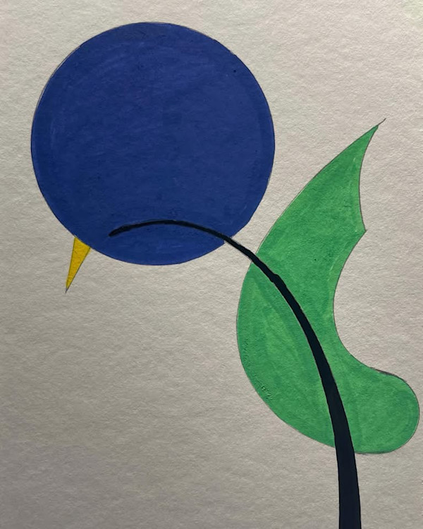 507 by Timothy Ray Horn