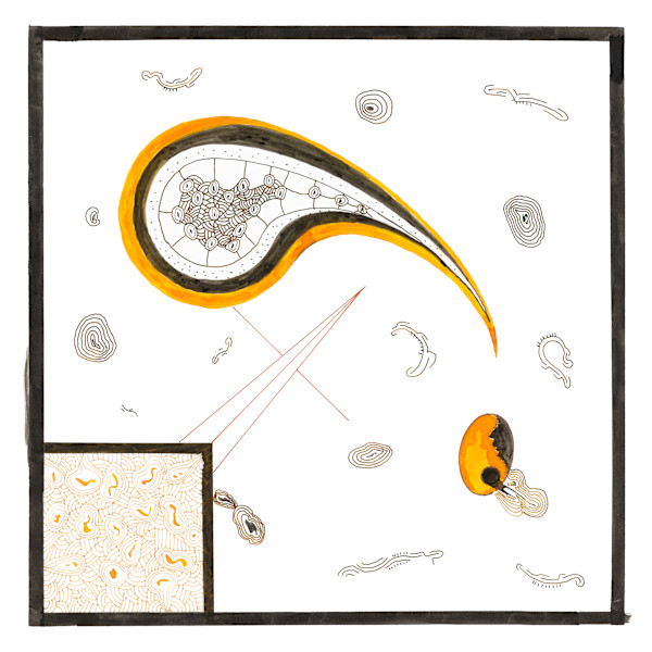 110 Abstract Microscope in orange and black by Timothy Ray Horn