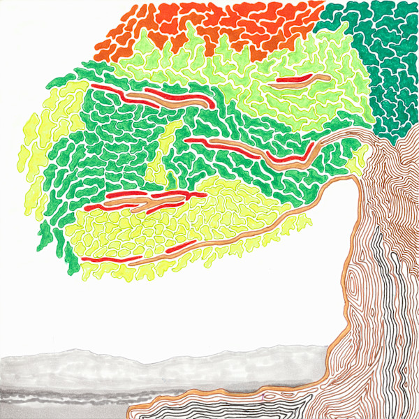 157 by Timothy Ray Horn