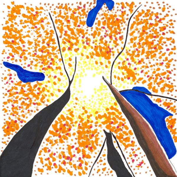 15 Tree Perspective 1 by Timothy Ray Horn