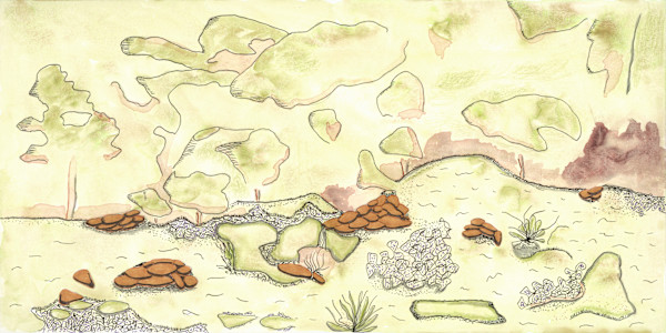 202 by Timothy Ray Horn