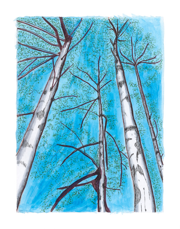 221 by Timothy Ray Horn