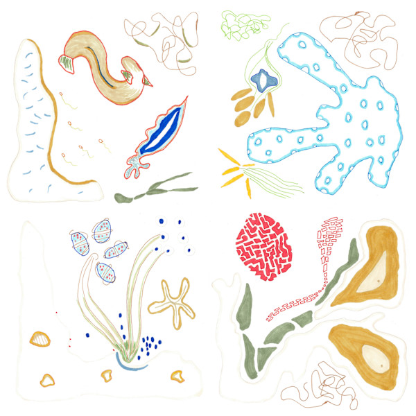 23 Microbiota by Timothy Ray Horn