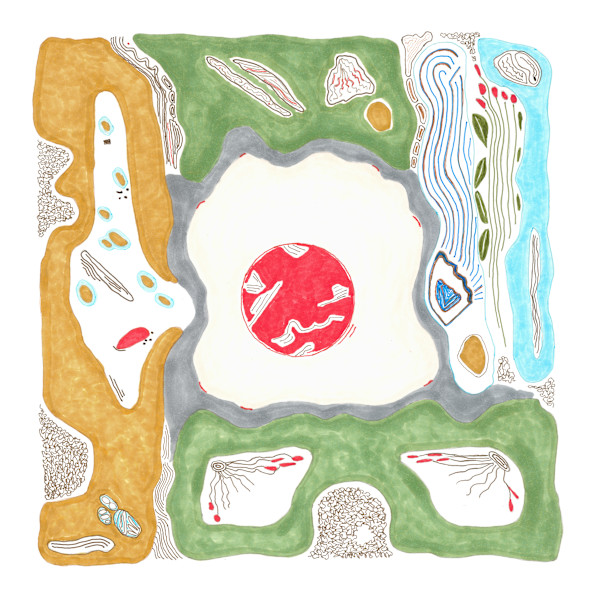 25 Microbial Perspectives 2 by Timothy Ray Horn